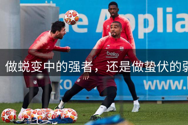 做蜕变中的强者，还是做蛰伏的弱者？宁波FC再战广西恒宸有玄机